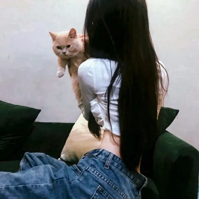 黑冰
